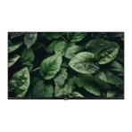 PEL LED 43 PLD-43FS HD SMART ANDROID BEZEL LESS TV