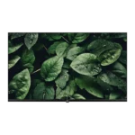 PEL LED 43 PLD-43FS HD SMART ANDROID BEZEL LESS TV