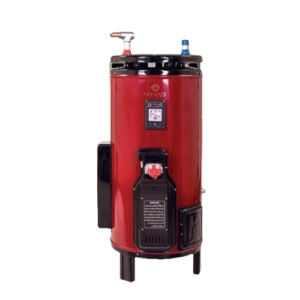 NASGAS FAST GAS & ELECTRIC GEYSER 30 GALLONS DEG-3030